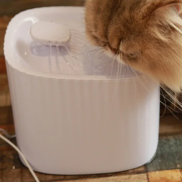 Wireless Cat Water Fountain